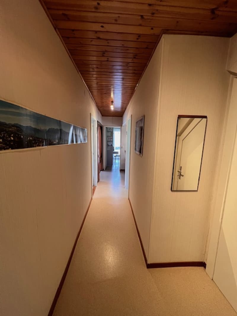 House with two apartments in viager, semi-occupied, in Lausanne Vennes (10)