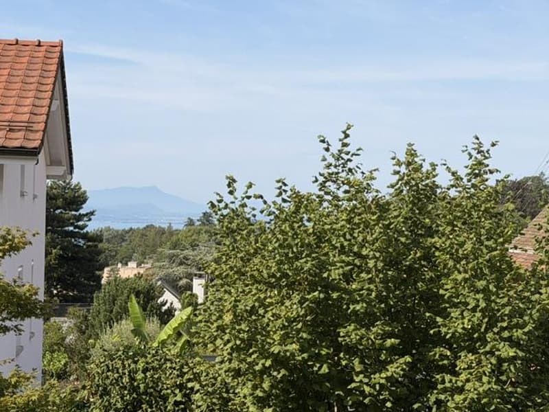 Apartment for life annuity in Chailly district of Lausanne (4)