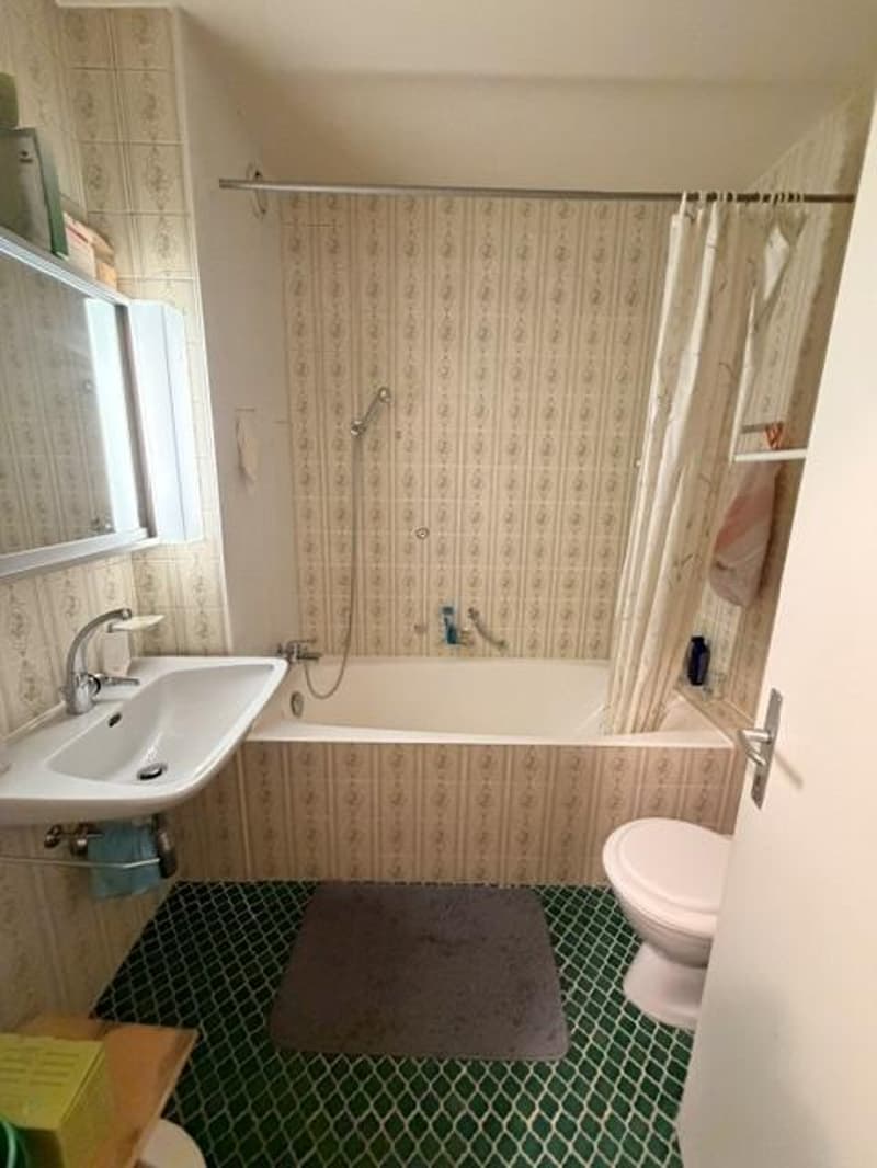 Apartment for life annuity in Chailly district of Lausanne (13)