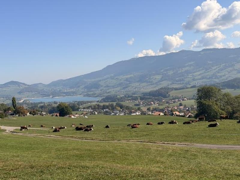 Maison individuelle en viager avec vue sur le lac et les montagnes (1)