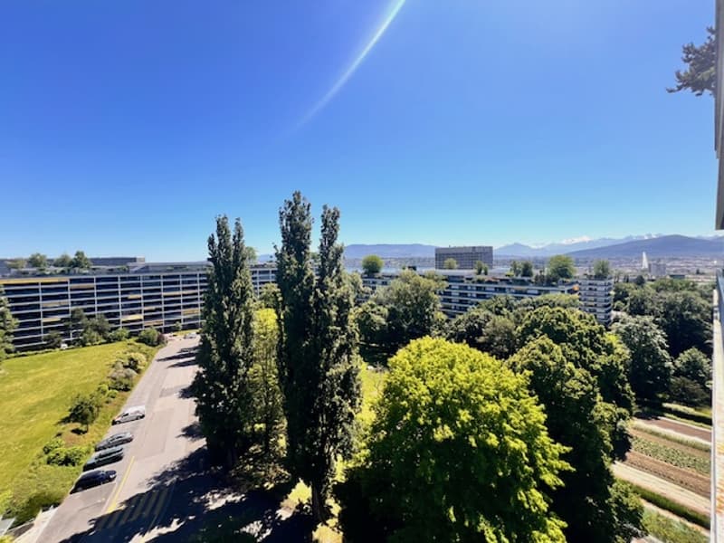 Superbe appartement en viager vue lac à Genève (5)
