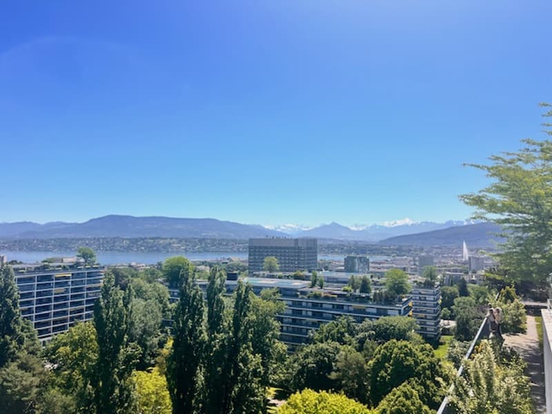 Superbe appartement en viager vue lac à Genève (4)