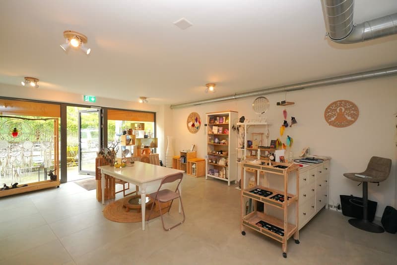 LOCAL COMMERCIAL À VENDRE À SIERRE (1)