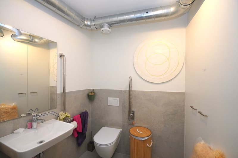 LOCAL COMMERCIAL À VENDRE À SIERRE (3)