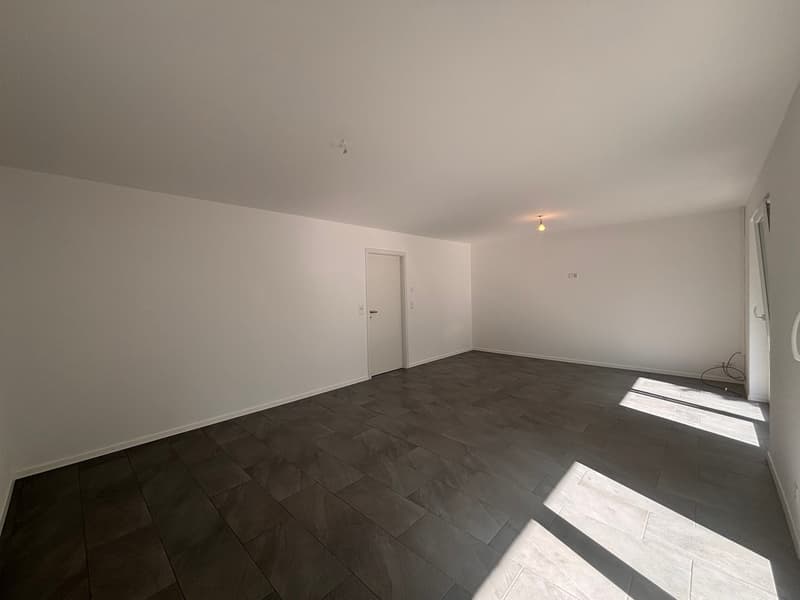 Séjour / Chambre