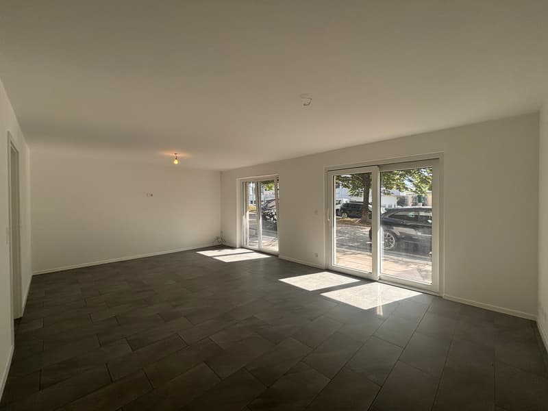 APPARTEMENT 1.5 ZIMMER ZU VERMIETEN IN SIERRE (1)