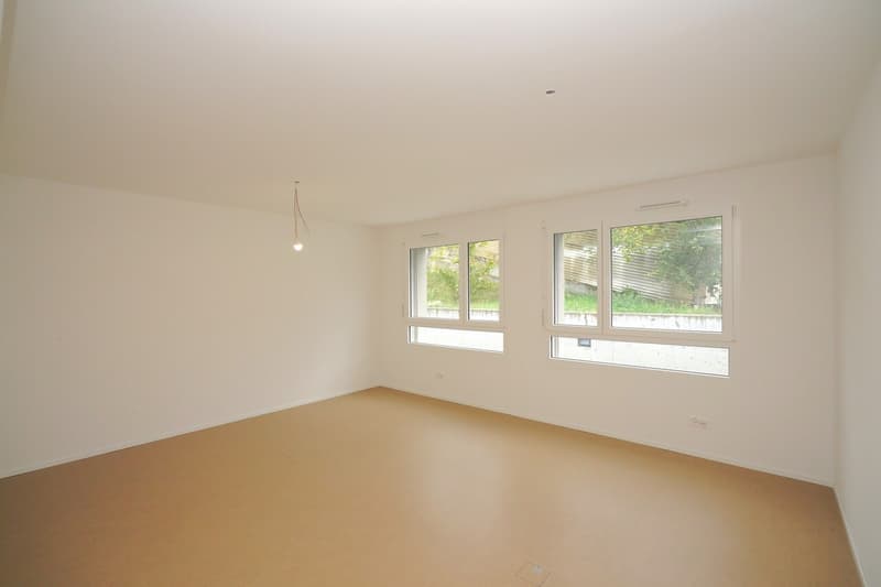 Spacious offices in Sierre (6)