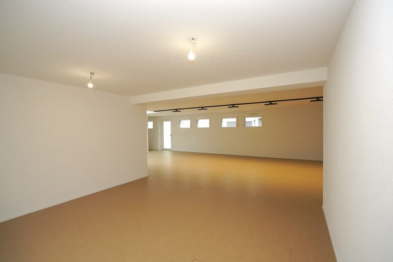 Spacious offices in Sierre (10)