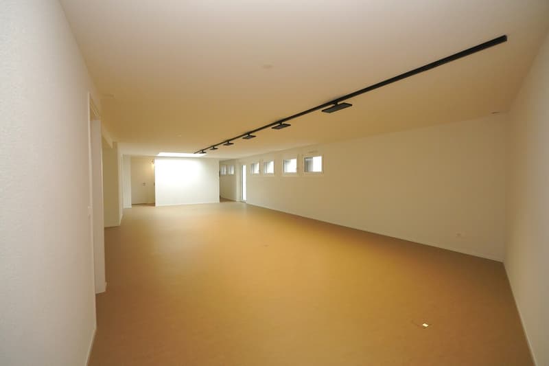 Spacious offices in Sierre (2)
