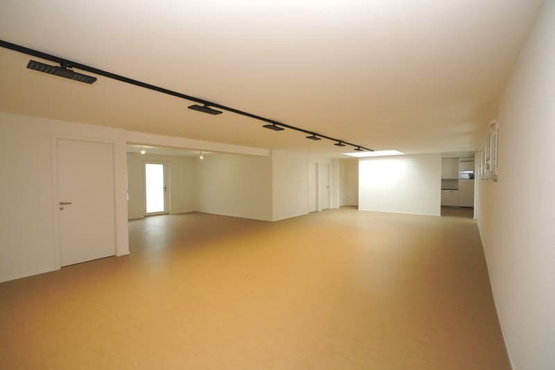 Spacious offices in Sierre (11)