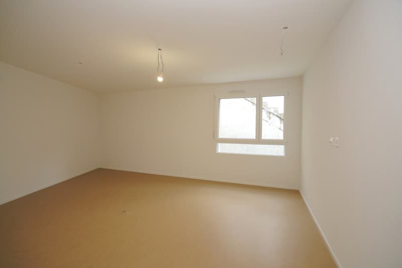 Spacious offices in Sierre (9)