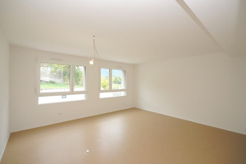 Spacious offices in Sierre (12)