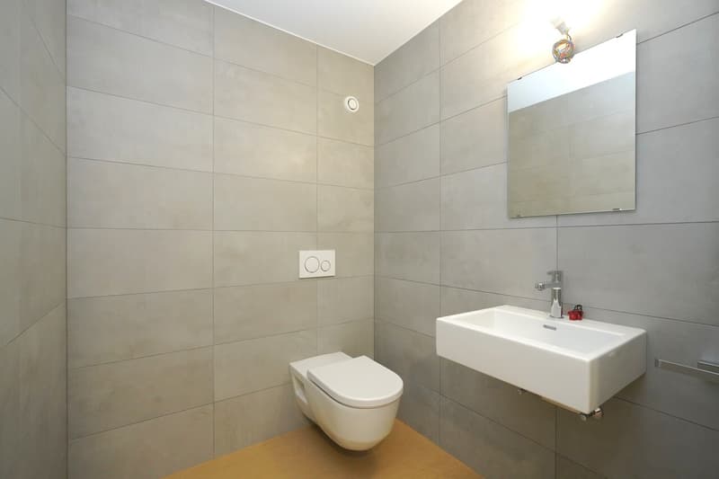 Spacious offices in Sierre (4)