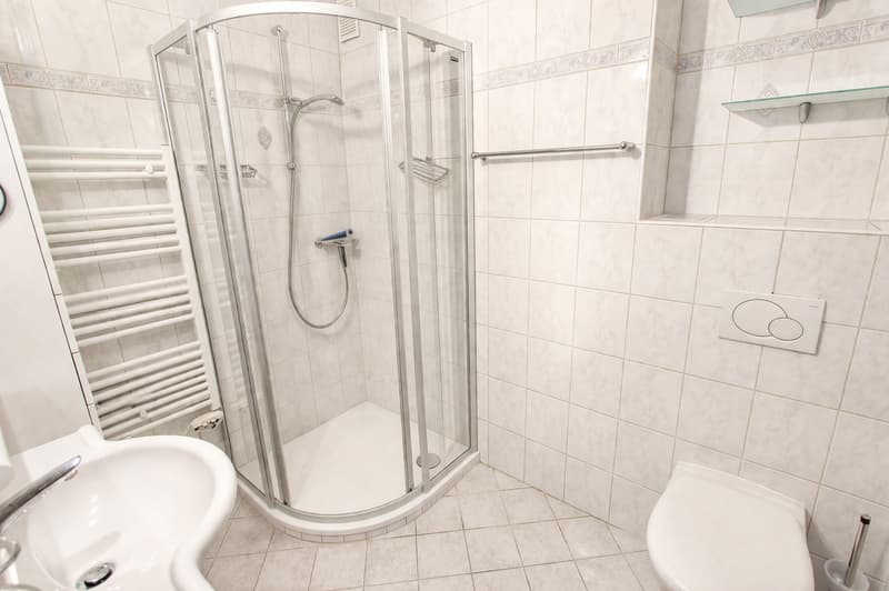 SUPERB 4.5 ROOMS RENOVATED APARTMENT IN SIERRE (4)