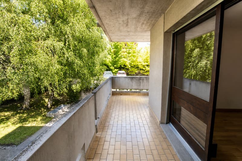 SUPERB 4.5 ROOMS RENOVATED APARTMENT IN SIERRE (10)