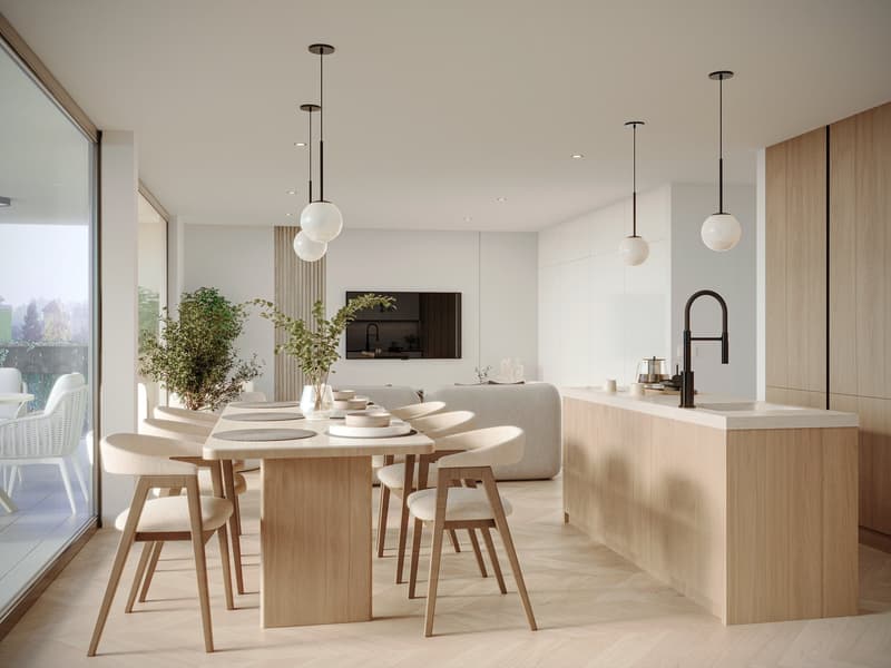 Dining room, wooden dining table, chairs, kitchen island, faucet, potted plants, glass wall