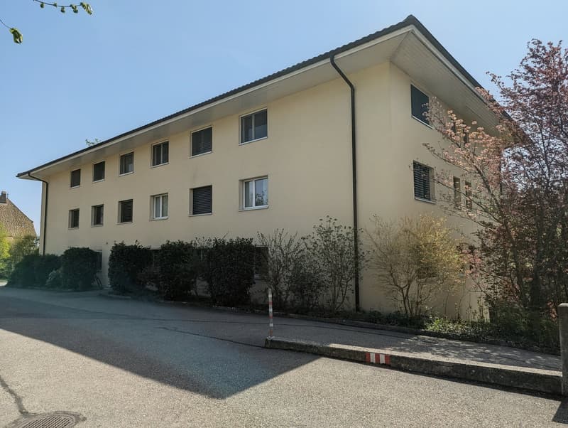 Magnifique appartement de 6 pièces de 169 m² dans un quartier résidentiel recherché de Colombier (2)
