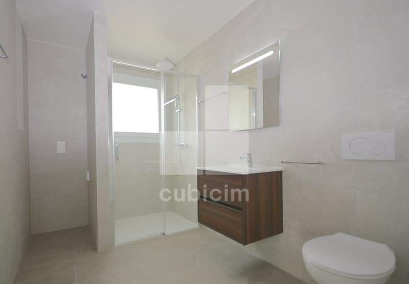 Modern bathroom with glass shower enclosure, vanity with wooden drawers, and a large mirror above the sink