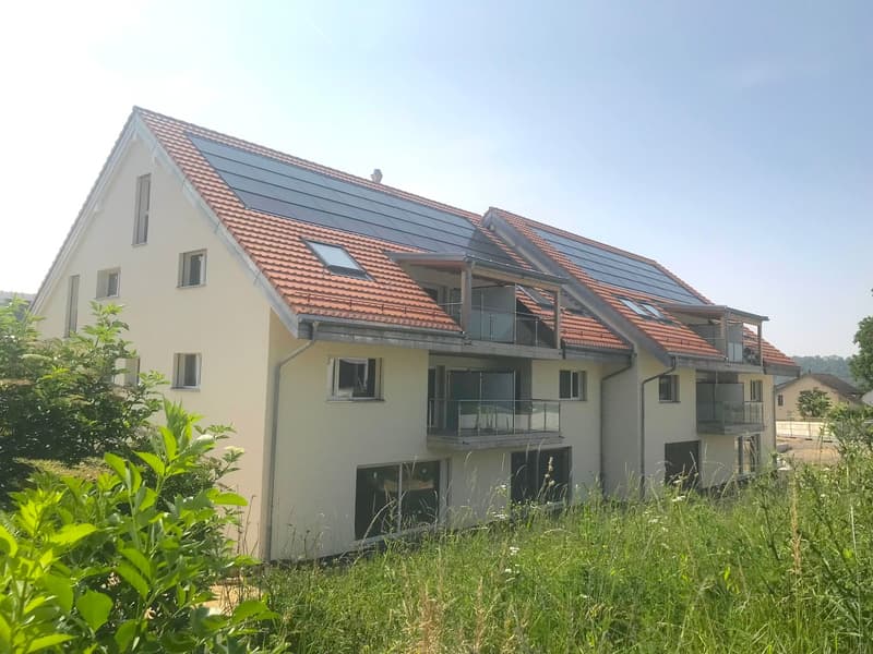 Appartement neuf de 3.5 pièces au rez-de-chaussée avec grand jardin (12)