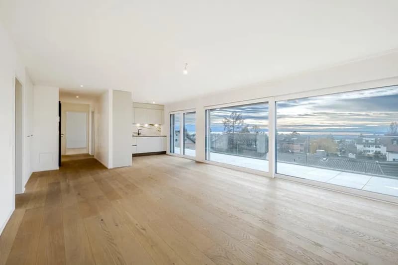 Très bel appartement neuf avec vue panoramique sur le Lac et les Alpes (7)