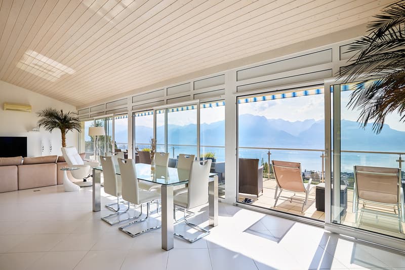 Très bel appartement avec vue exceptionnelle sur le Lac et les Alpes (13)