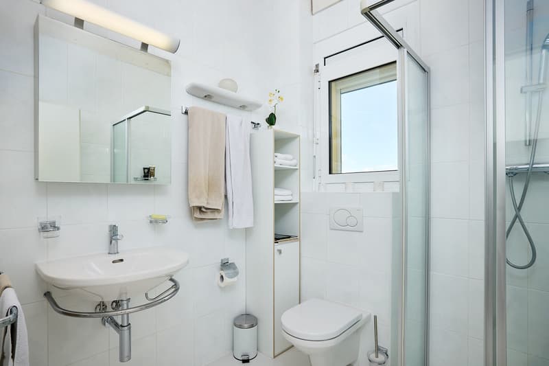 Très bel appartement avec vue exceptionnelle sur le Lac et les Alpes (9)