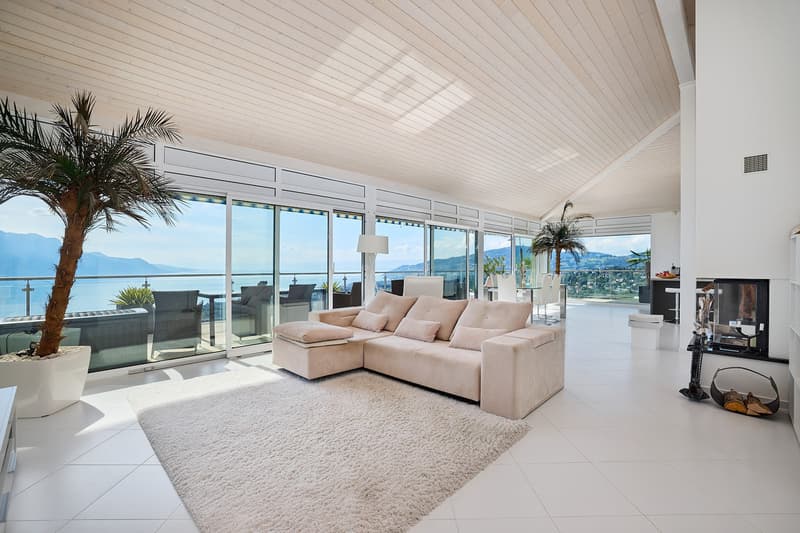 Très bel appartement avec vue exceptionnelle sur le Lac et les Alpes (7)