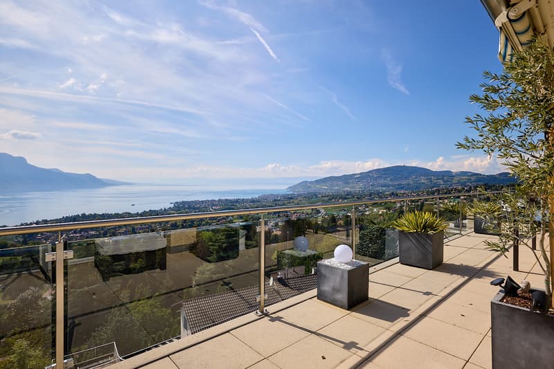 Très bel appartement avec vue exceptionnelle sur le Lac et les Alpes (4)