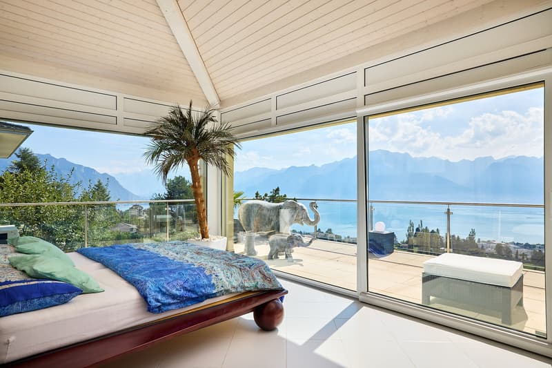 Très bel appartement avec vue exceptionnelle sur le Lac et les Alpes (2)