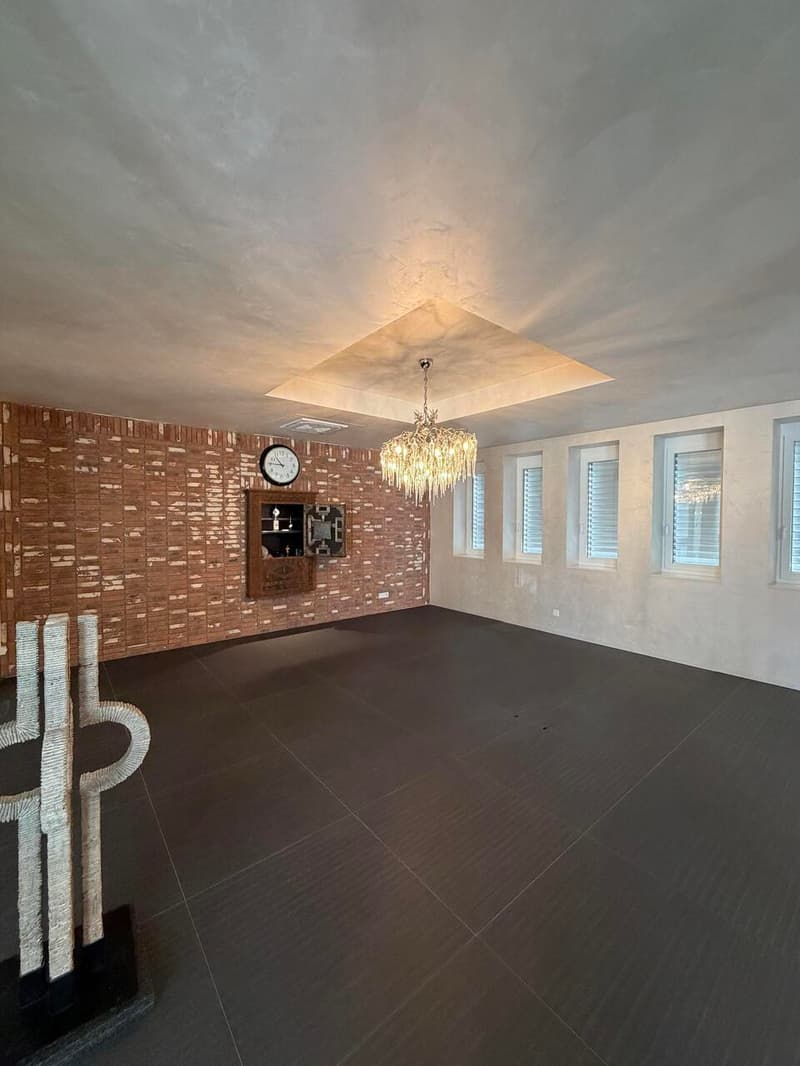 Magnifique Show Room a vendre, à Locarno (10)