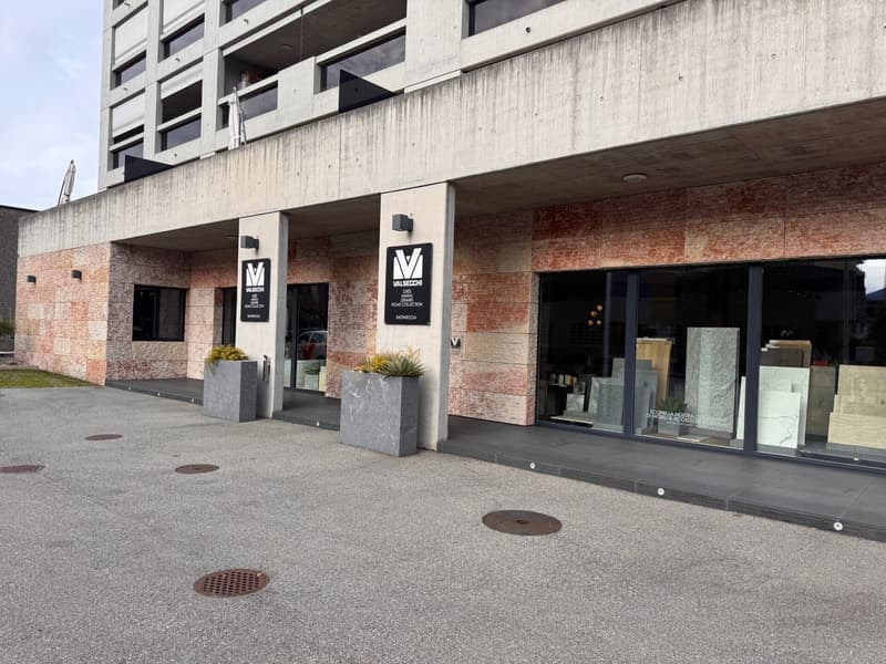 Magnifique Show Room a vendre, à Locarno (1)
