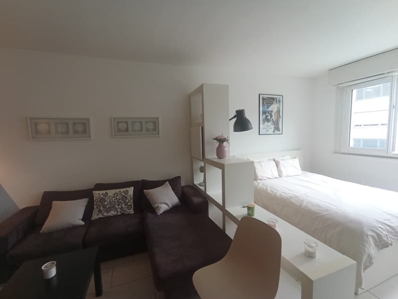 Eaux-Vives / Genève - Studio Meublé de +/- 42 m² - À deux pas du Lac (1)
