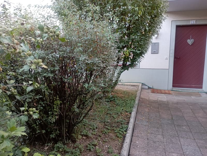 BERNEX - Rez-de-Jardin 6 pièces ?130 m² Terrasse, Jardin à la Campagne (2)