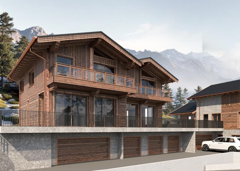 Beautiful semi-detached chalet in a main residence in Lens (2)