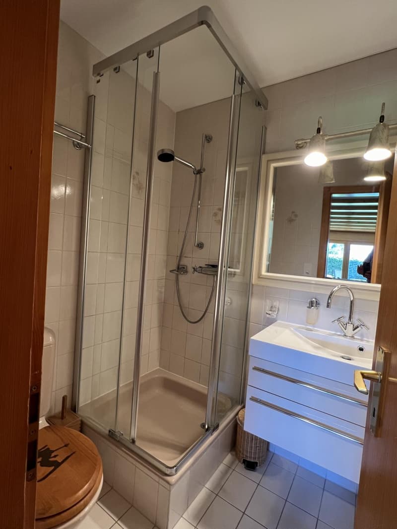 Bello appartamento di 3 locali al pianterreno (5)