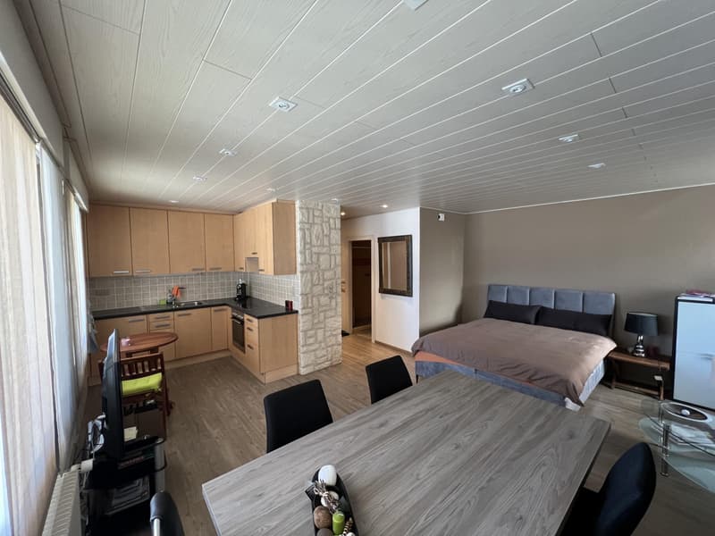 Grand studio entièrement rénové proche du centre de Montana (1)