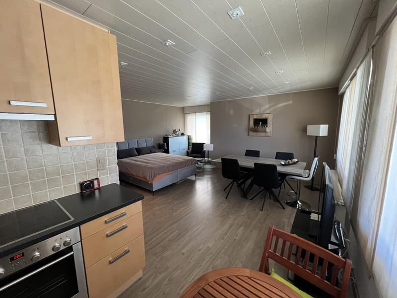 Grand studio entièrement rénové proche du centre de Montana (3)