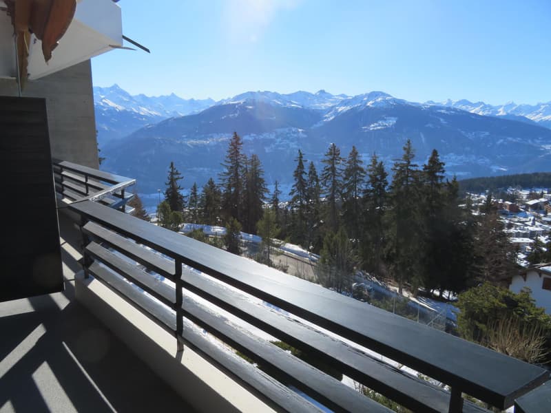 Joli studio avec vue sur les Alpes (1)