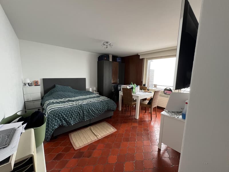 Joli studio avec vue sur les Alpes (2)