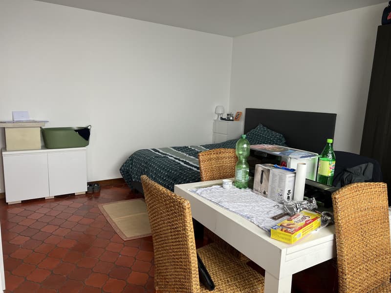 Joli studio avec vue sur les Alpes (3)
