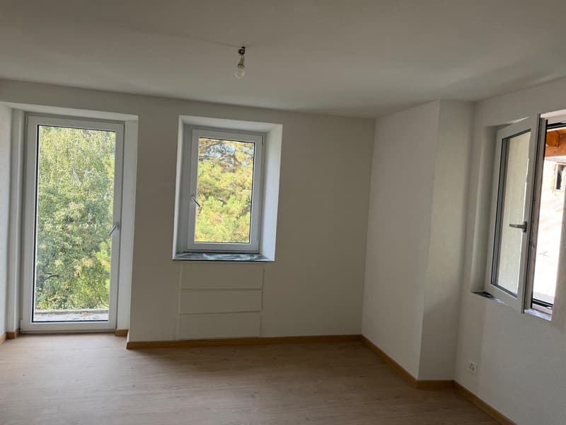 Combles - 3.5 pièces