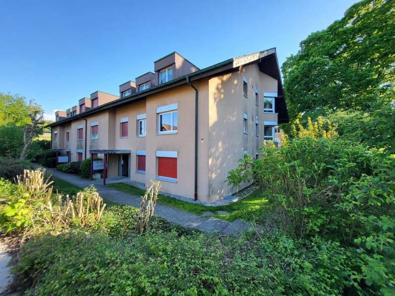 Appartement de 3.5 pces au rez-de-chaussée avec terrasse et pelouse / 3.5-Zimmer-Wohnung im Erdgeschoss mit Terrasse und Rasen Bösingen (4)