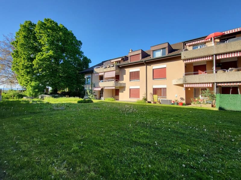 Appartement de 3.5 pces au rez-de-chaussée avec terrasse et pelouse / 3.5-Zimmer-Wohnung im Erdgeschoss mit Terrasse und Rasen Bösingen (3)