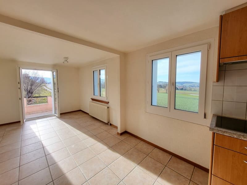 Casa con 2 appartamenti & dépendance a Mézières (5)