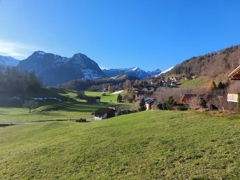 A2 - Appartamento nuovo di 4.5 locali al 2° piano, a Sciernes d'Albeuve (5)