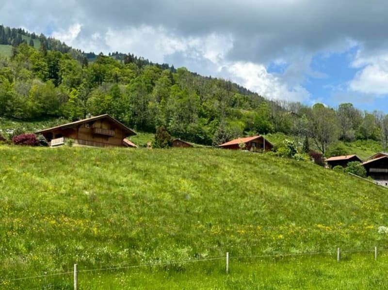 B0 - Appartamento nuovo di 3.5 locali al pianterreno, a Sciernes d'Albeuve (6)