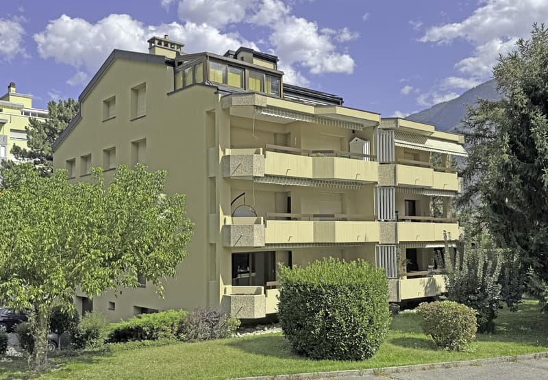 Bel appartement traversant de 4.5 pièces au bord de la Dranse (2)