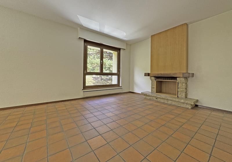 Bel appartement traversant de 4.5 pièces au bord de la Dranse (6)
