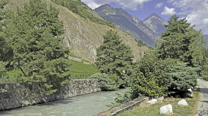 Bel appartement traversant de 4.5 pièces au bord de la Dranse (1)