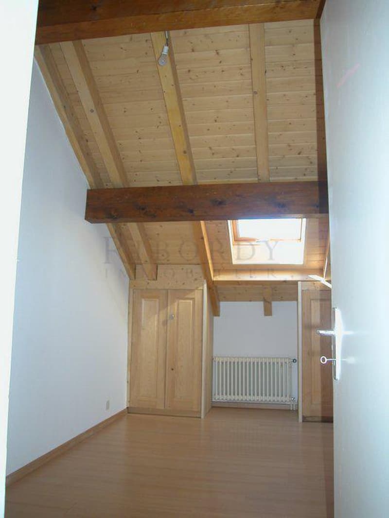 Corsier nella quiete, in una bella costruzione rurale, appartamento di 3.5 locali! (3)